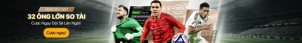 banner 2